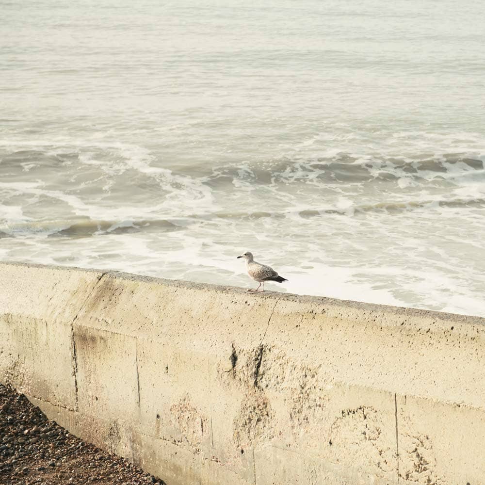 Signature Look Max b