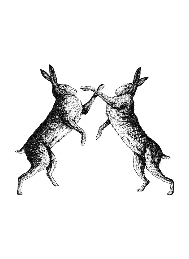 peter-christian-hares-logo.webp